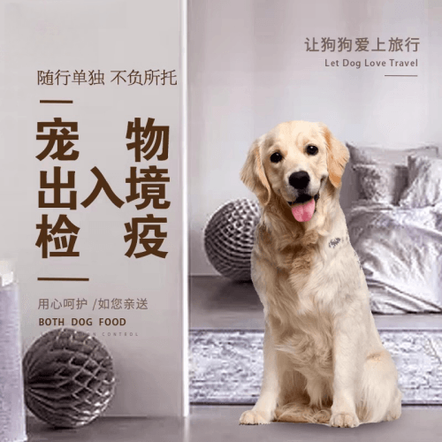 白银市宠物托运到哥伦比亚猫狗宠物入境规定和