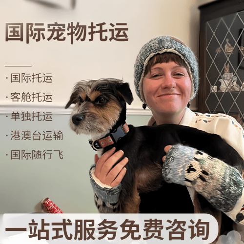 白银市国际宠物托运到阿根廷宠物入境规定和要