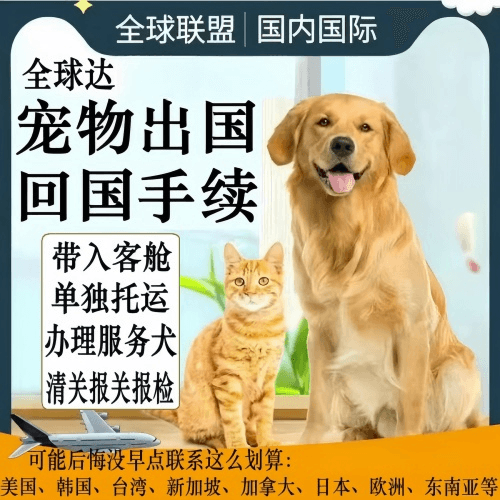 白银市宠物托运到柬埔寨宠物入境规定和要求
