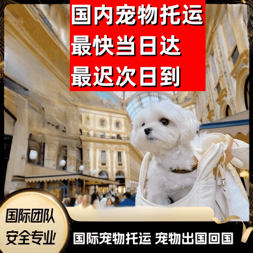 白银市到澳大利亚（澳洲）宠物入境规定和要求